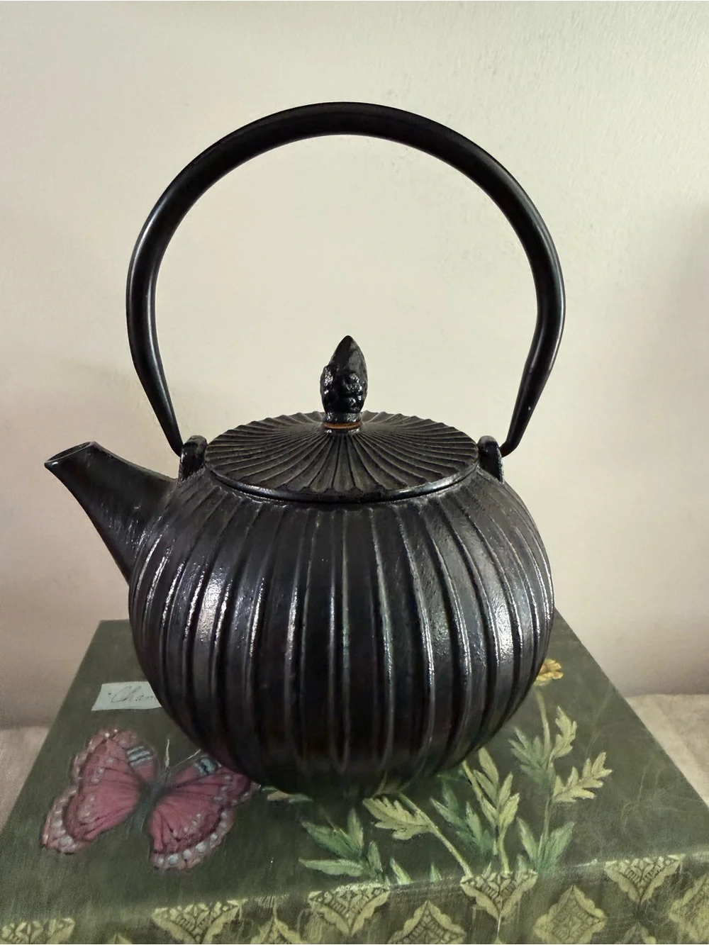 Black Cast Iron Ribbed Teapot with Handle
